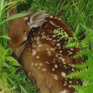 Greg Hamm - @ghammster - Instagram