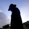 Greg Hancock195 - @greghancock195 - TikTok