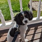 Greg Harms - Facebook