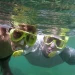 Greg Hehman - @greghehman - Instagram