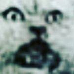 Greg Helm - @greghelm - Instagram