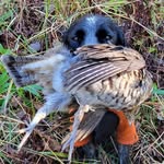 Greg Hendrickson - @hendricksongreg - Instagram