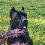 Greg Hendrickson - @grhendr_42 - Instagram