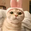 Greg Harrington - @greg.harrington45 - TikTok