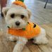 Greg Henley - Facebook