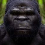 Greg Henley - @woodbooger64 - Instagram