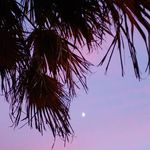 Greg Herring - @gherring199 - Instagram