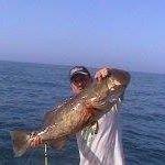 Greg T. Herring - @greg_t._herring - Instagram