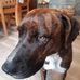 Greg Herrmann - Facebook