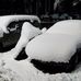 Gregory Hibbard - Facebook