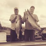 Greg Hicks - @timberleg69 - Instagram