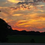 Greg Higginbotham - @greg.higginbotham.7 - Instagram
