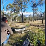 Greg Higgins - @greg.higgins.397 - Instagram