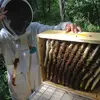 Greg Hildebrand - @greg.hildebrand1 - TikTok