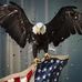 Greg Hillhouse - Facebook