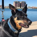Greg Hillier - @hillier.greg - Instagram