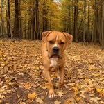 Greg Hillier - @greg_hill09 - Instagram