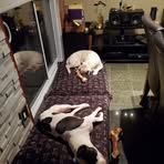 Greg Hinchcliffe - Facebook