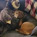 Greg Hinz - Facebook