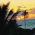 Greg Hinzo - @greghinzo - Instagram