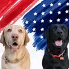 Greg Hirsch - @greg.hirsch555 - TikTok