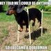 Greg Hirsch - Facebook