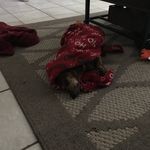 Greg Hise - @gahise - Instagram