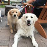Karen-Greg Van Hise - @karengregvanhise - Instagram