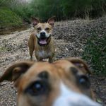 Greg Hite - @greg.hite - Instagram
