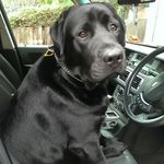 GregHobson - @rgreghobson - Instagram