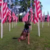 Greg - @greghoffmann360 - TikTok