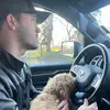 Greg - @greghoke1 - TikTok