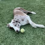 Greg Hollenbaugh - @hollenbaughgreg - Instagram