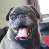 Gregg Hollenbeck - @gregg.hollenbeck - TikTok