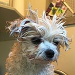 Greg Hope - @greg.hope.31 - Instagram