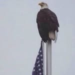 Greg Hoppenrath - @greghoppenrath - Instagram
