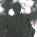 Greg Hough - @hough.greg - Instagram