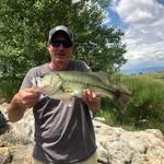 Gregg A. Koldenhoven - @gregg.koldenhoven - Instagram