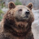 Greg Hubert - @greghub78 - Instagram