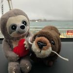 Greg&Hubert - @greg.and.hubert.adventures - Instagram