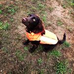 Greg_Hunt - @greg_hunt_ - Instagram