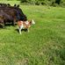 Gregory Hurd - Facebook