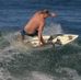 Greg Hussey - Facebook