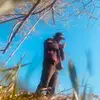 gregjacobsonmusic - @gregjacobsonmusic - TikTok