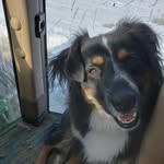 Greg Jarrard - @jarrardgreg - Instagram