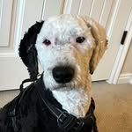 Greg Jarrard - @greg.jarrard - Instagram