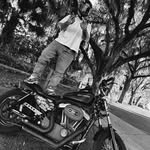 Greg Jay - @stolen.harley - Instagram