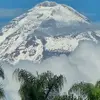 GREG JIMENEZ NORIEGA - @grejino77 - TikTok