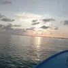 Greg Johnson - @greg.johnson23 - TikTok