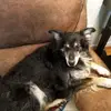 Greg Johnston - @greg.johnston53 - TikTok